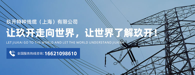 BG大游·(集团)视讯官方网站