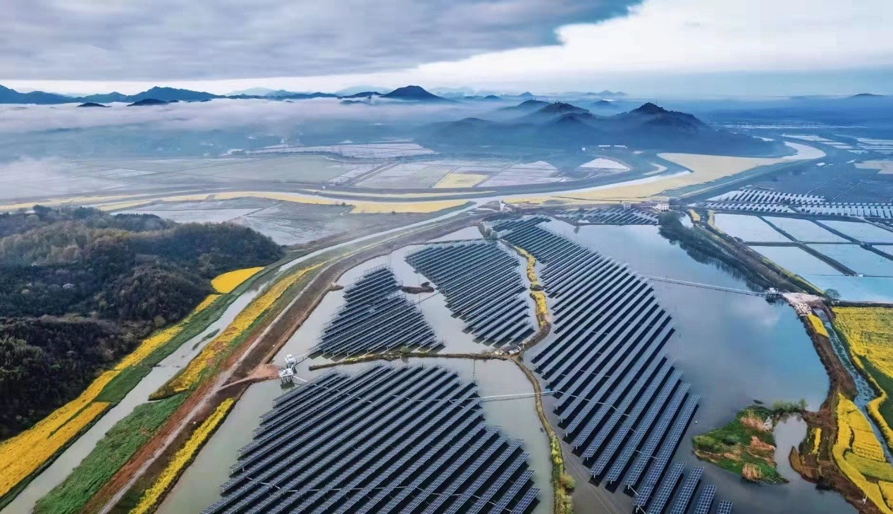 BG大游·(集团)视讯官方网站