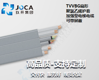 BG大游·(集团)视讯官方网站