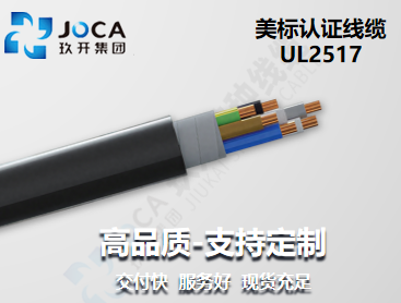 BG大游·(集团)视讯官方网站