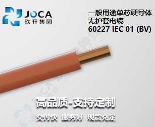 BG大游·(集团)视讯官方网站